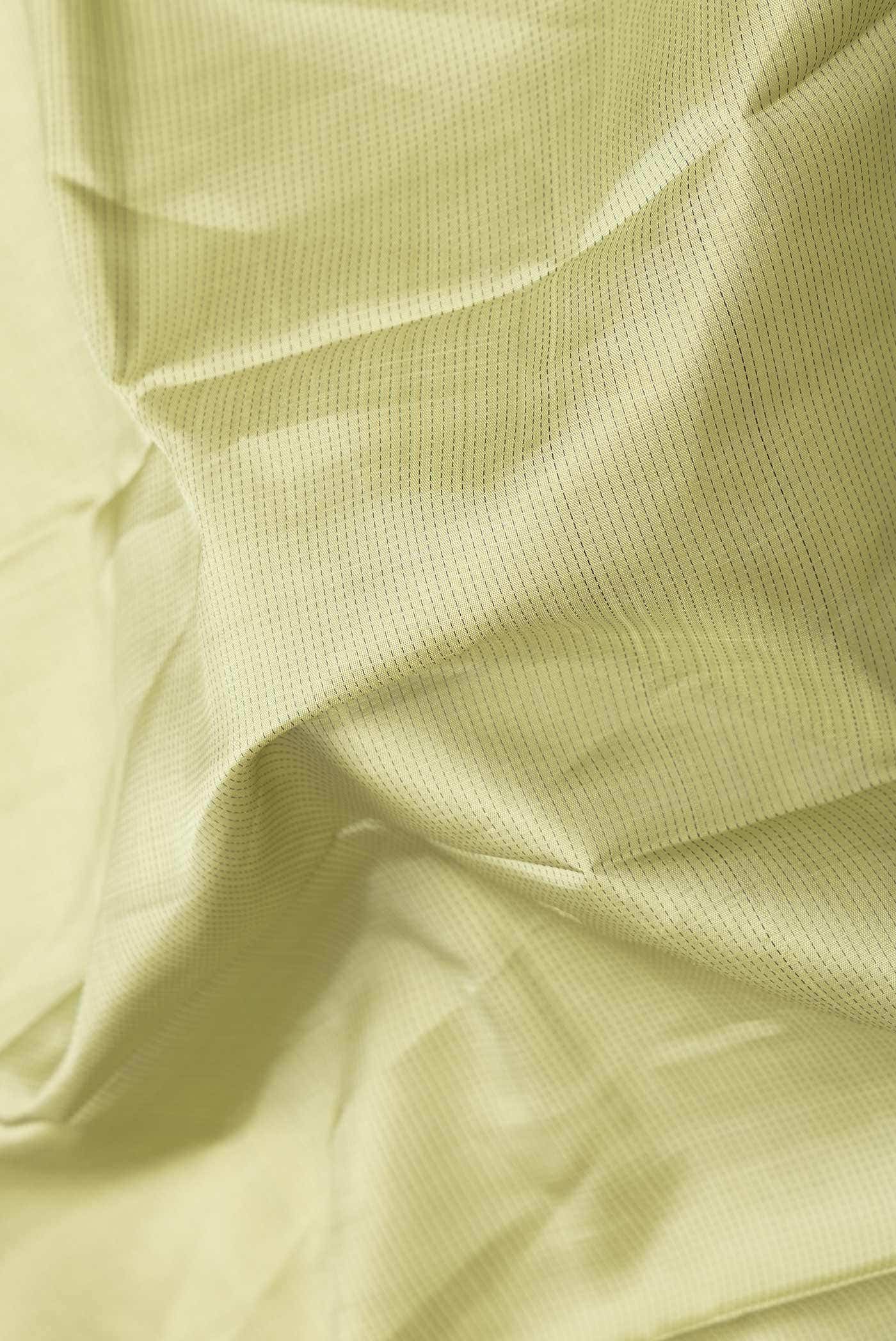 Pure Silk Pure Zari Light Green Dual Tone Kanchipuram Saree