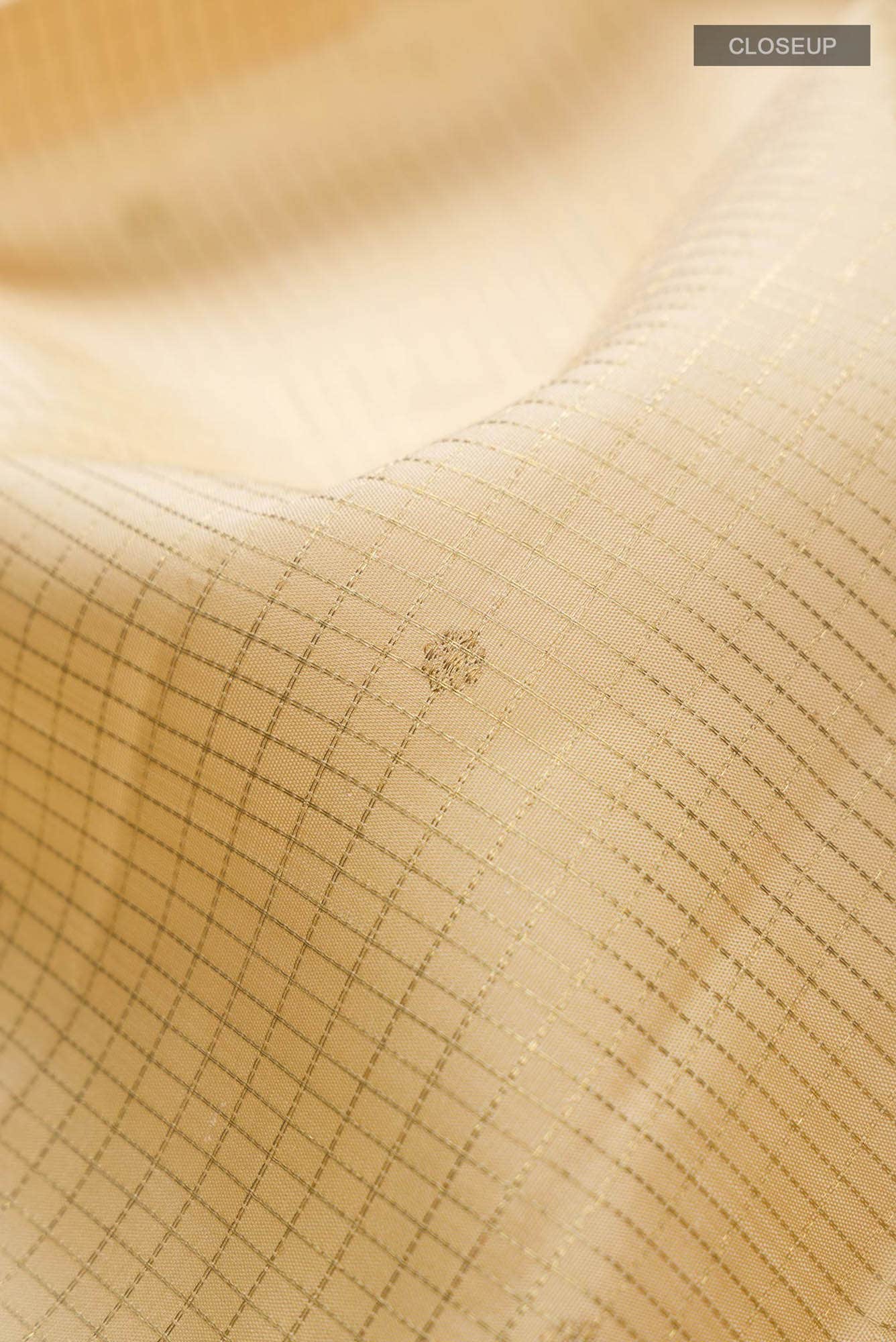 Pure Silk Pure Zari Beige Kanchipuram Saree