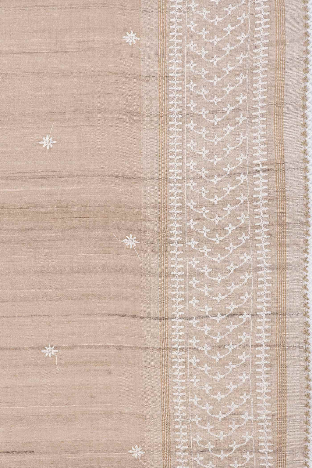 Beige Dual Tone Tussar Silk Saree