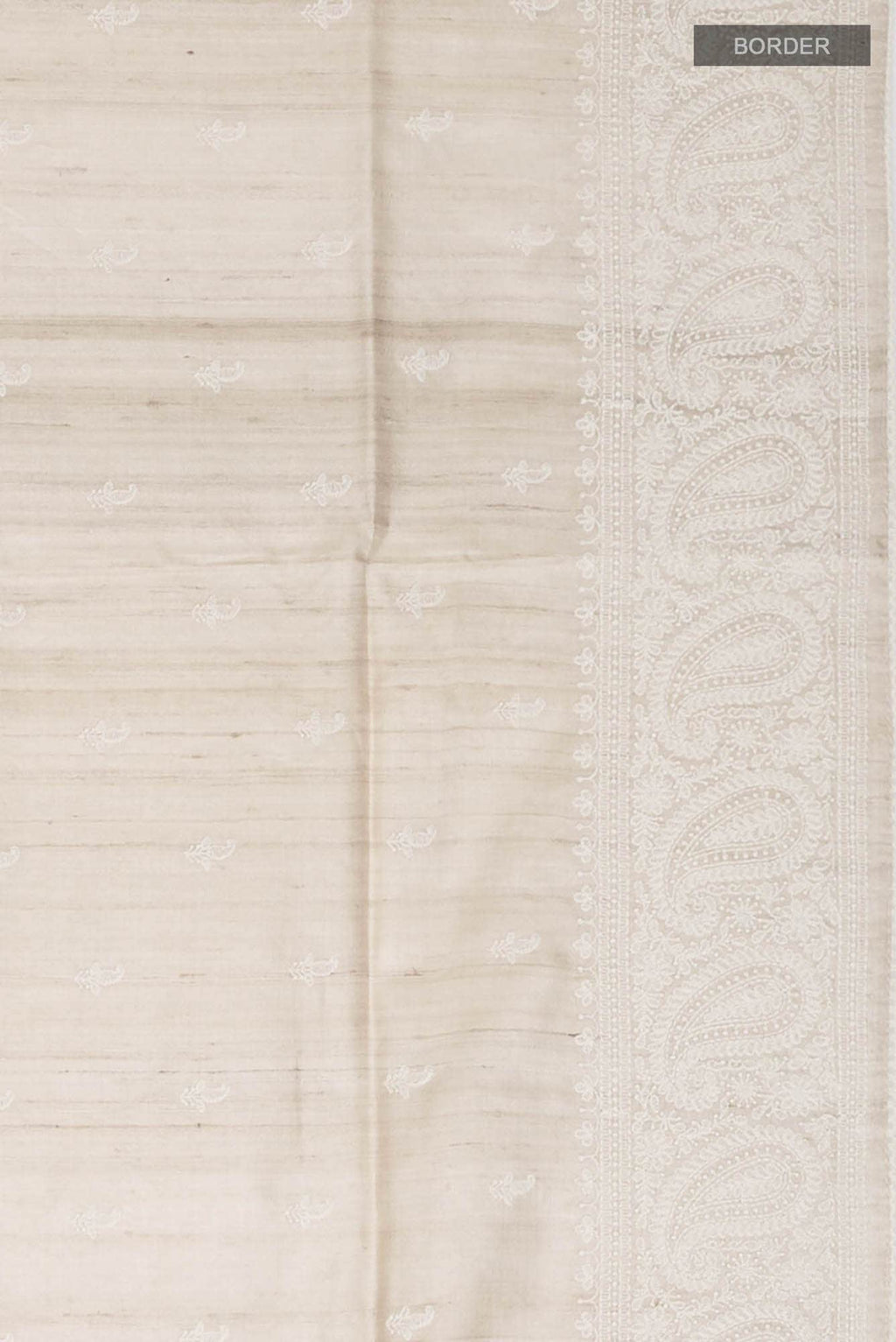 Cream Bhagalpuri Tussar Silk Saree