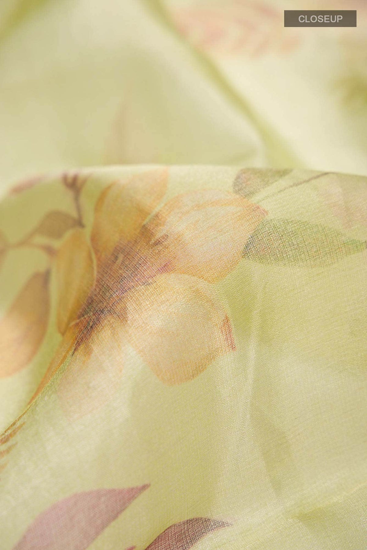 Light Green Organza Silk Saree