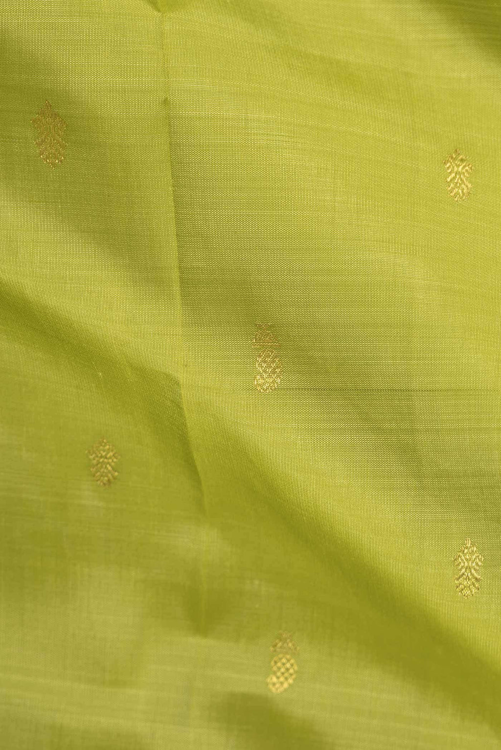 Parrot Green Dual Tone Kanchipuram Silk Saree