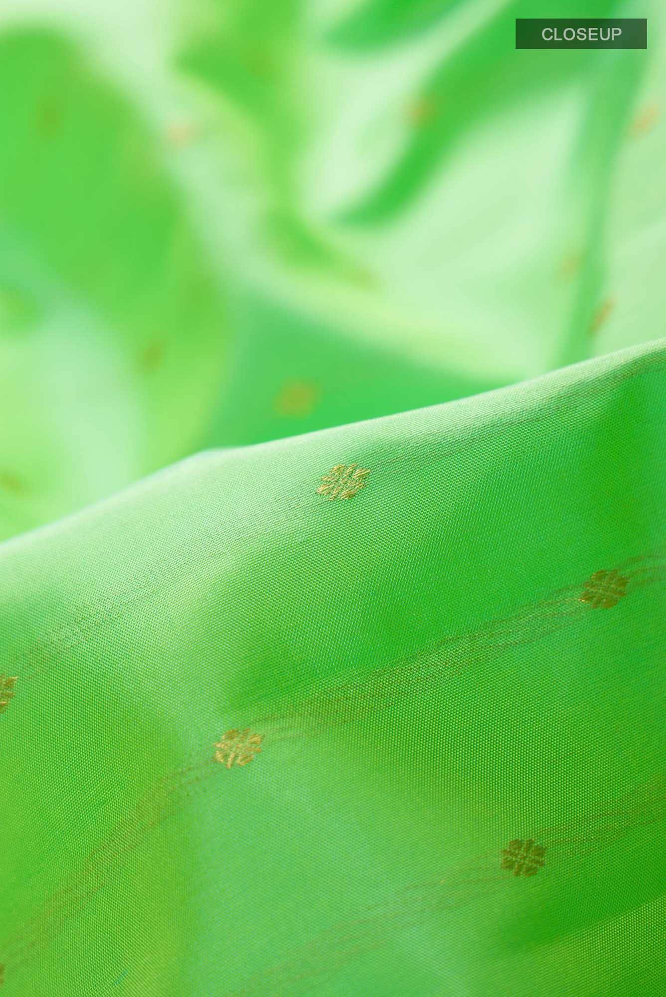 Green Kanchipuram Silk Saree