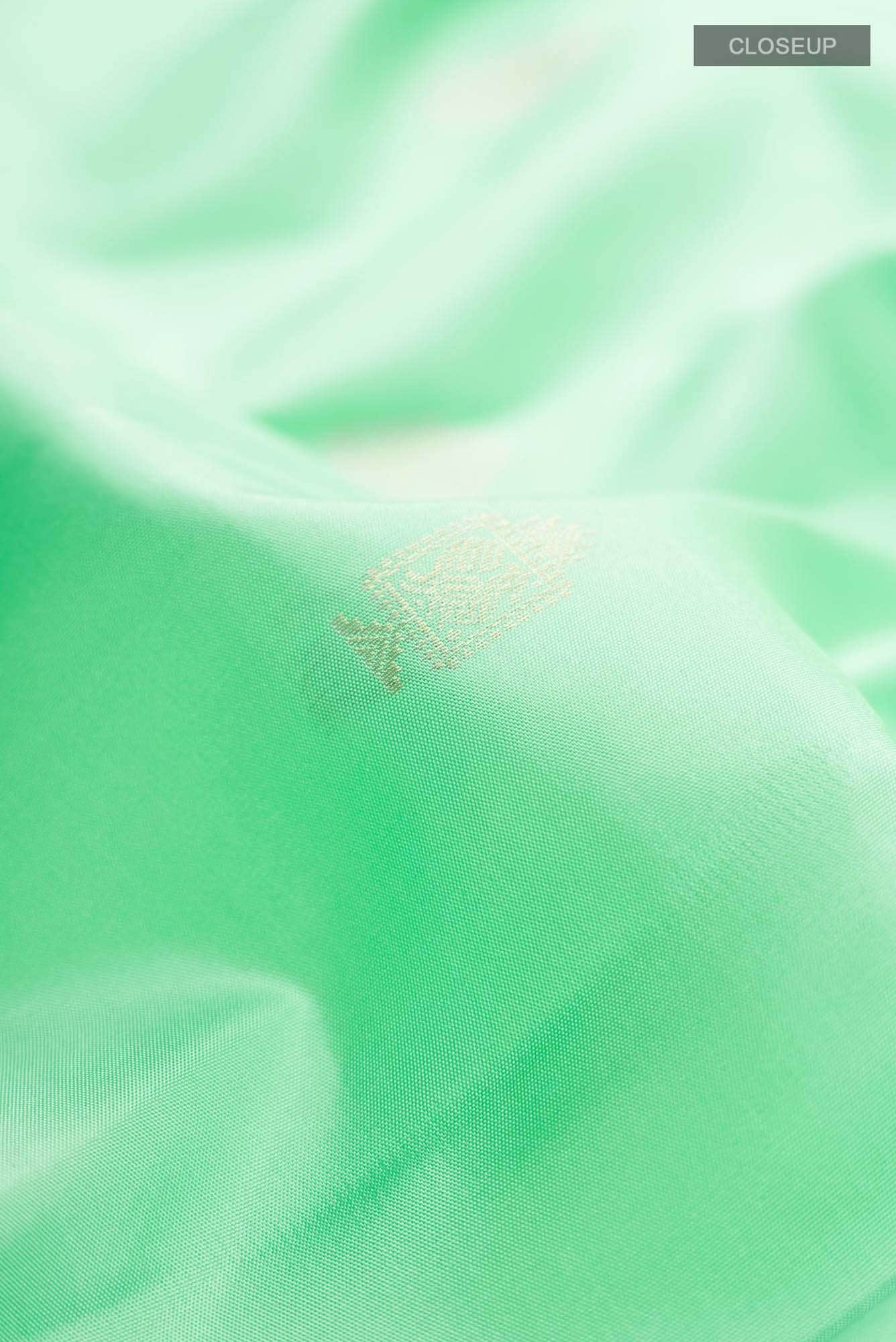 Green Kanchipuram Silk Saree