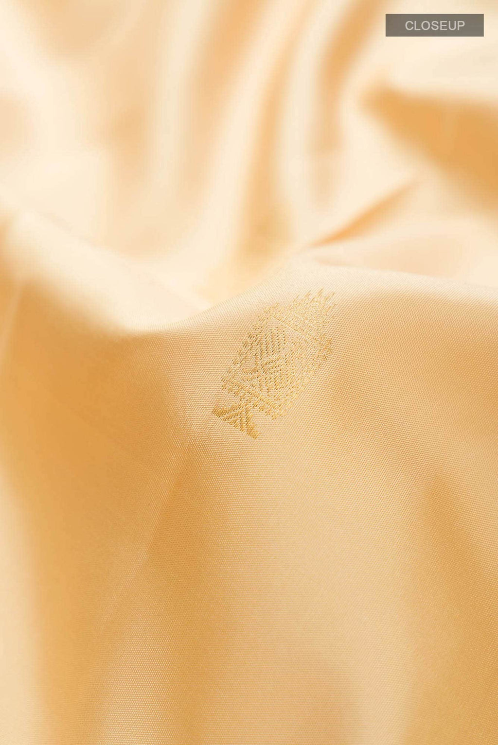 Beige Kanchipuram Silk Saree