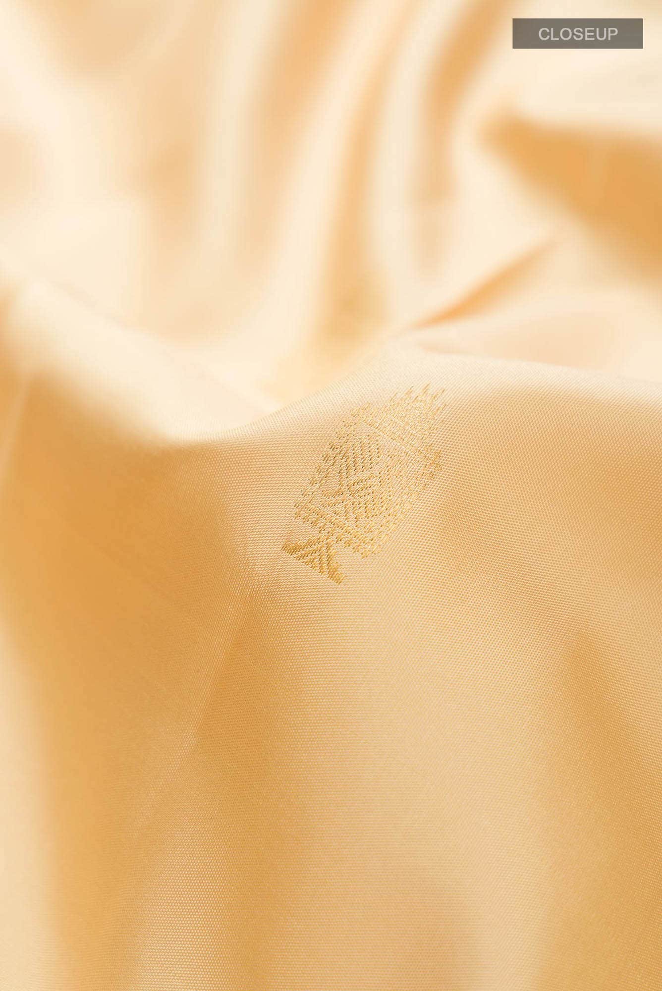Beige Kanchipuram Silk Saree