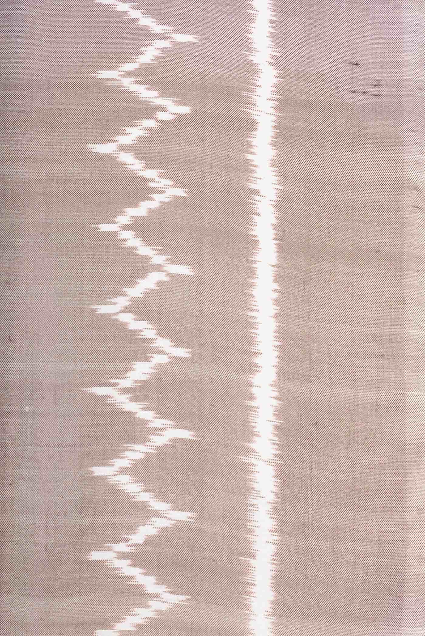 Grey Rajkot Patola Silk Saree