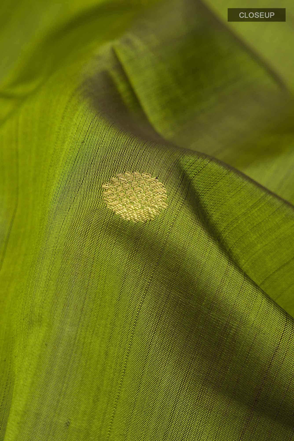 Green Dual Tone Kanchipuram Silk Saree