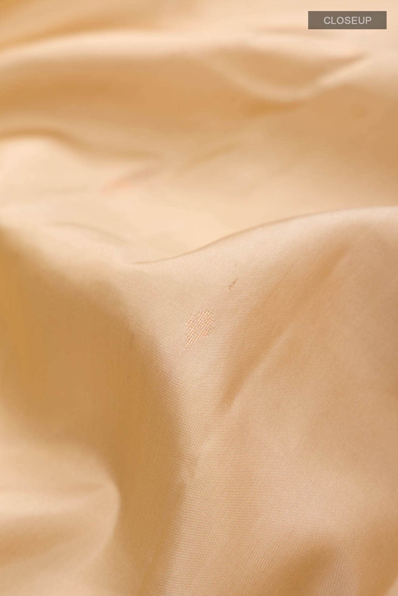 Beige Kanchipuram Silk Saree