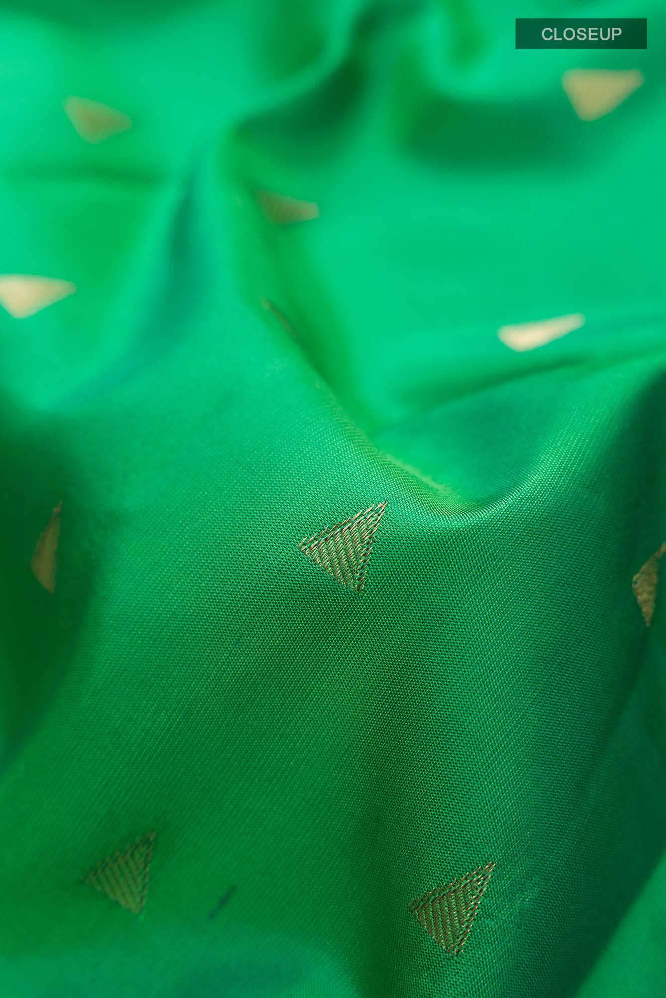 Green Kanchipuram Silk Saree