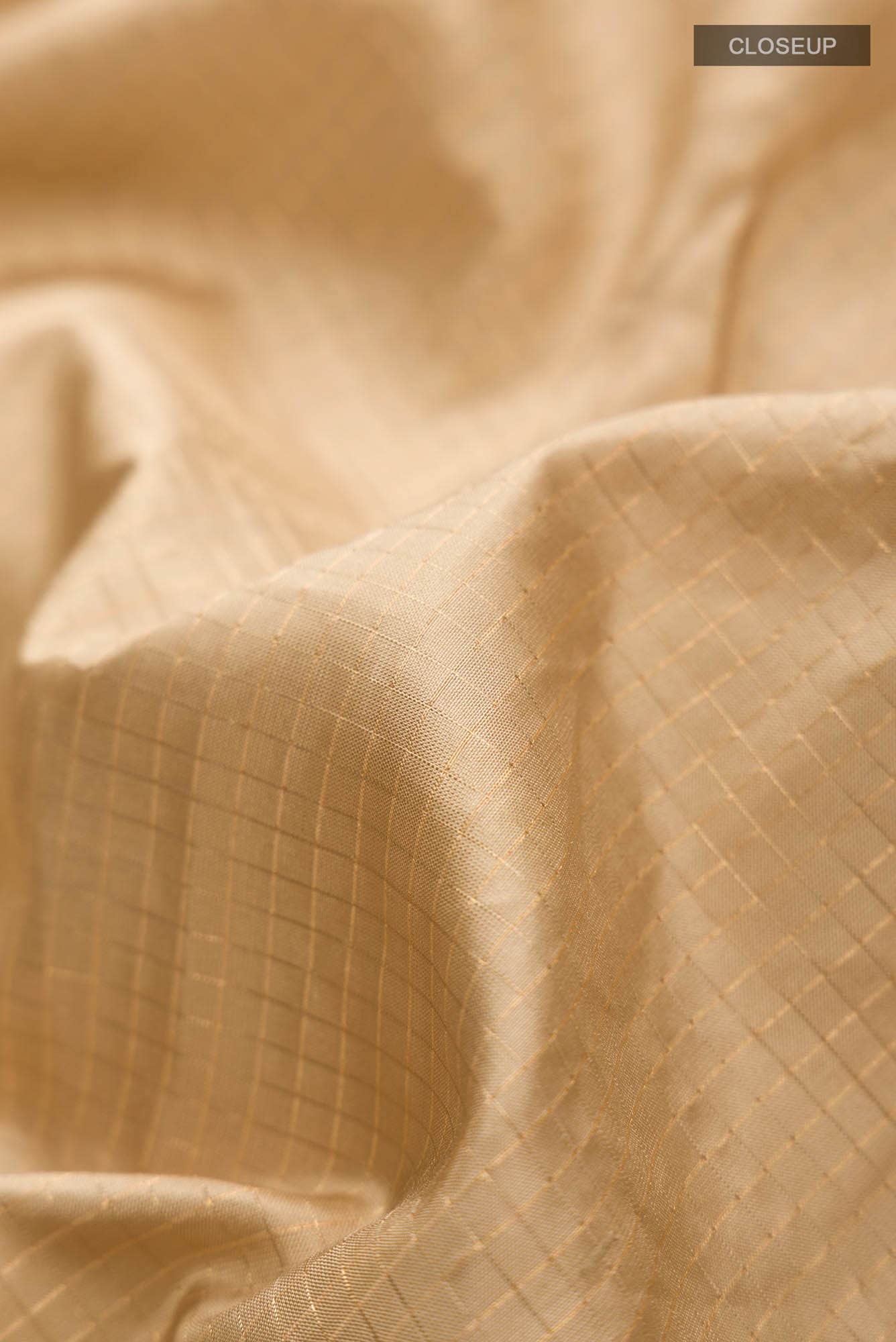 Beige Kanchipuram Silk Saree