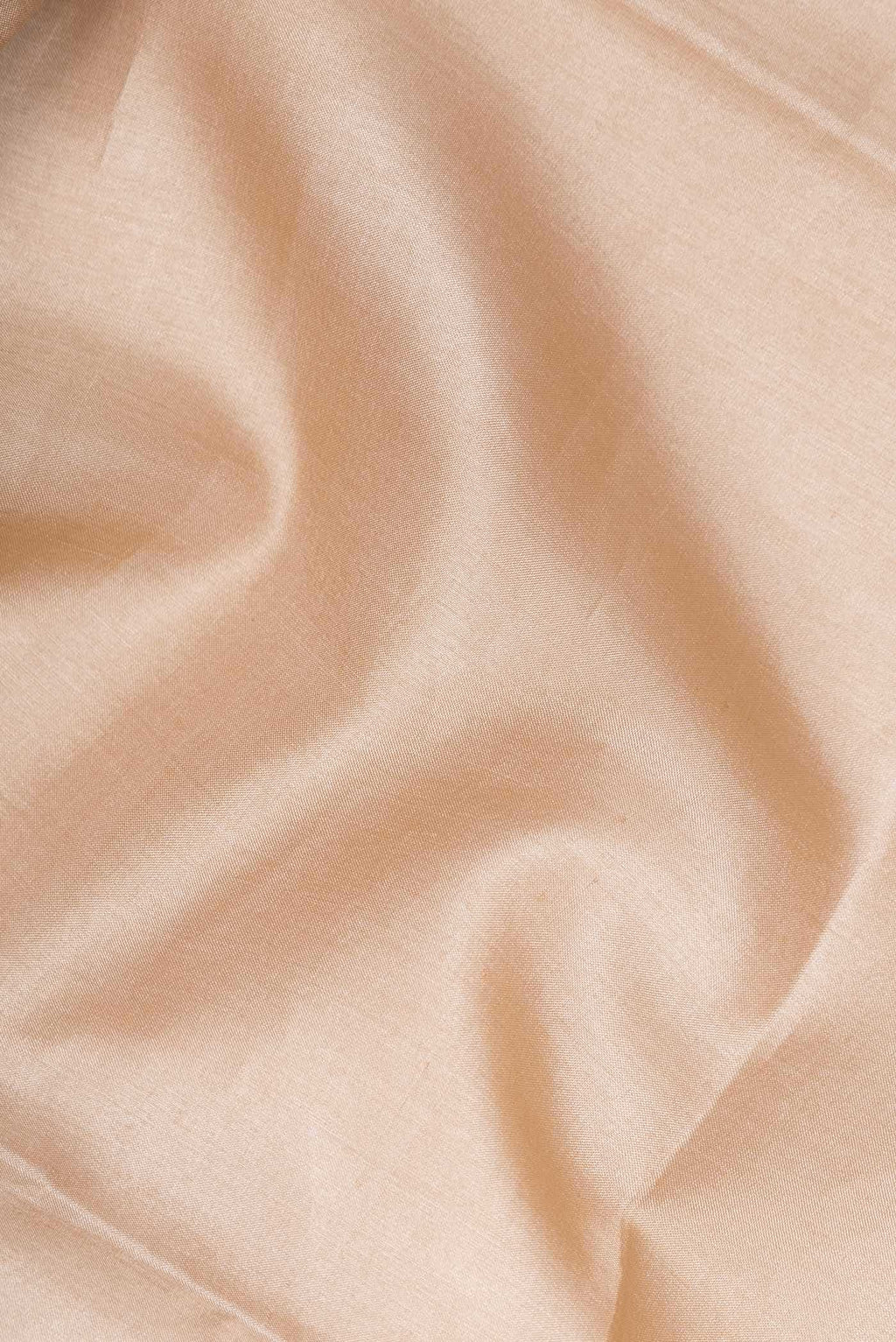 Beige Tussar Silk Saree