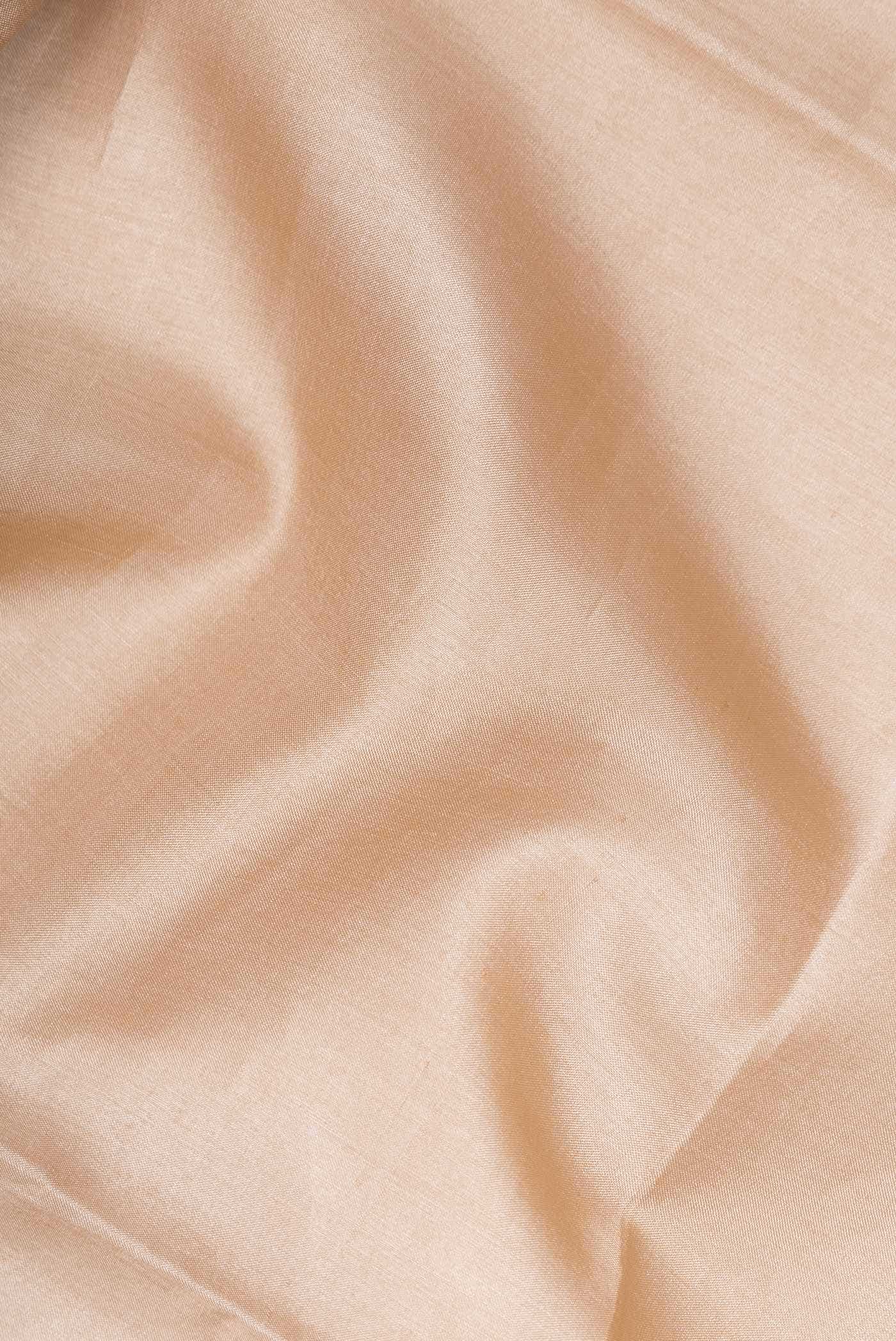 Beige Tussar Silk Saree