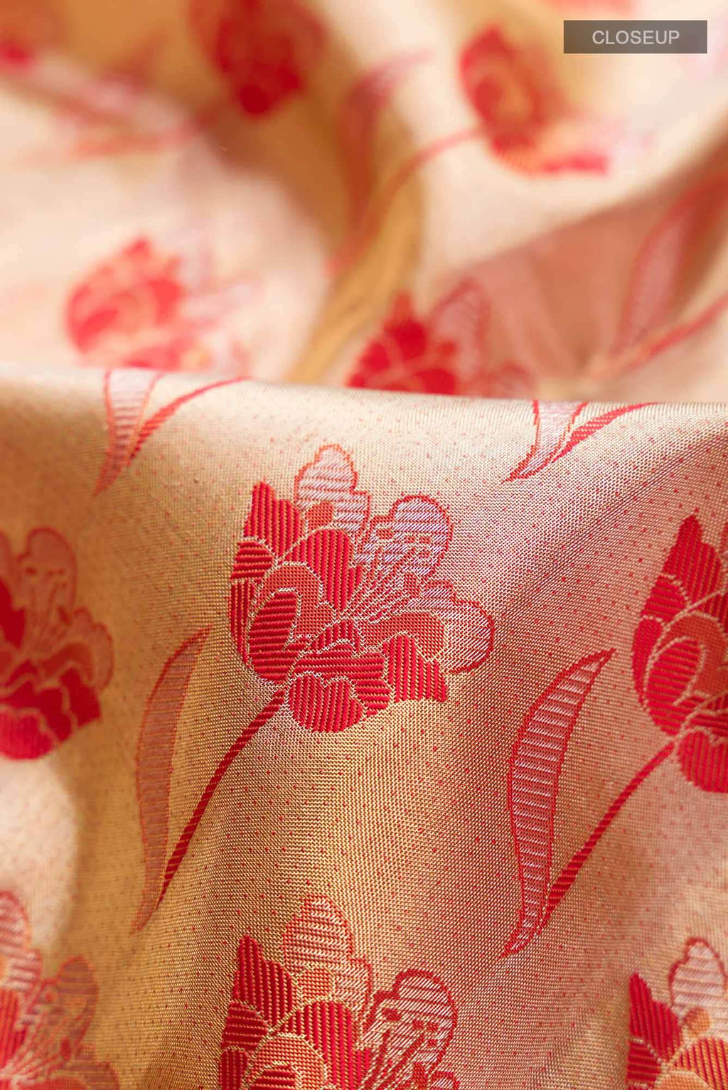 Beige Kanchipuram Tissue Silk Saree