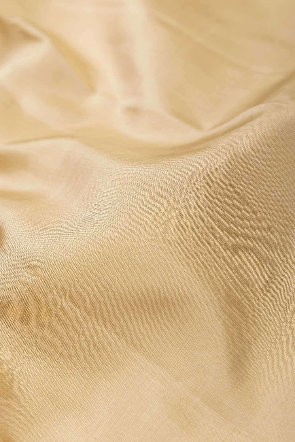 Dark Beige Dual Tone Kanchipuram Silk Saree