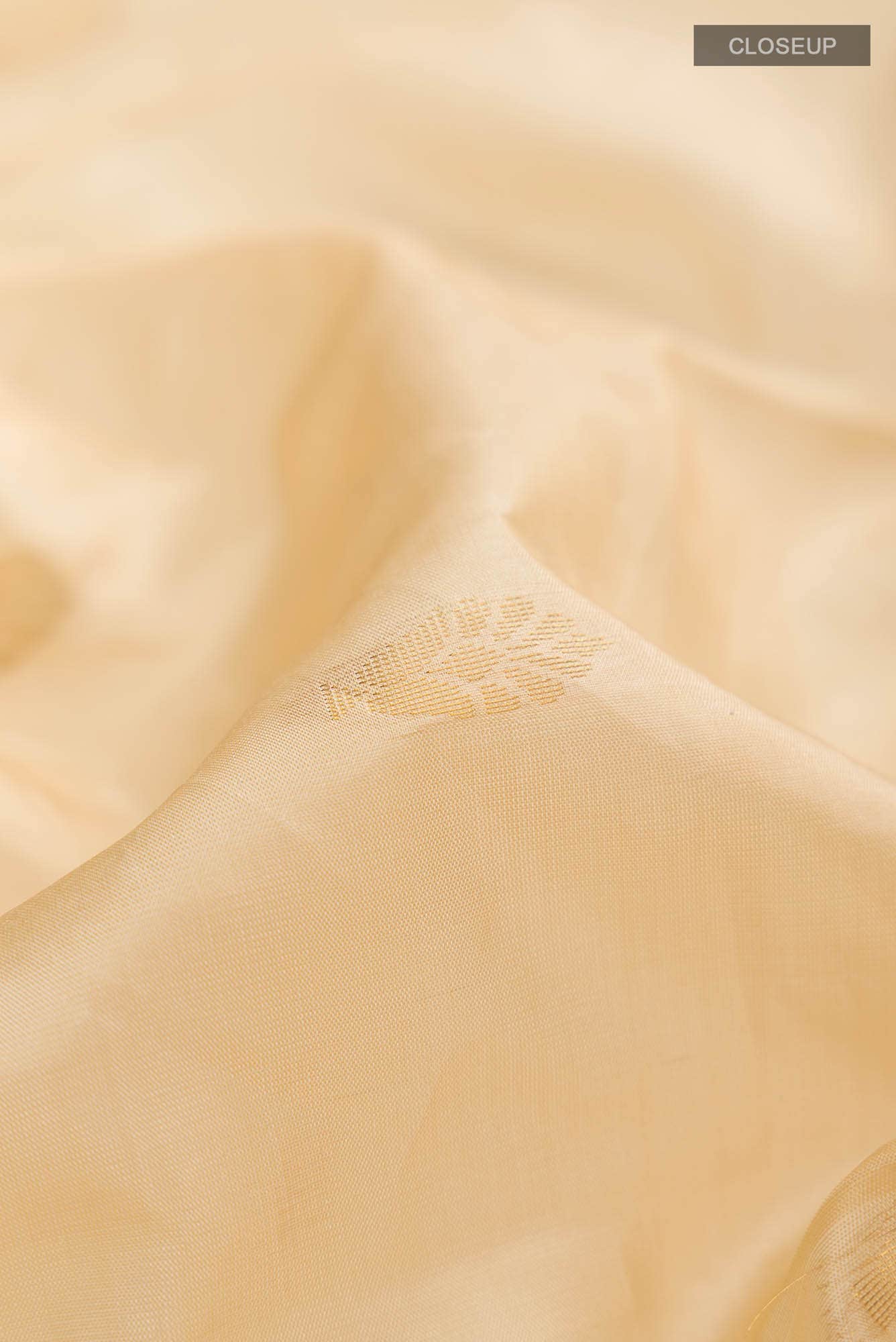 Beige Kanchipuram Silk Saree