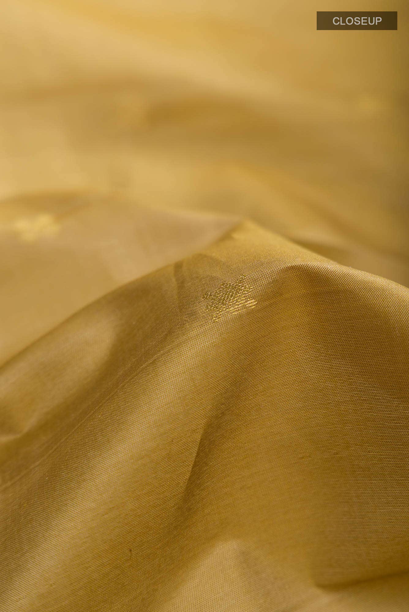 Beige Kanchipuram Silk Saree