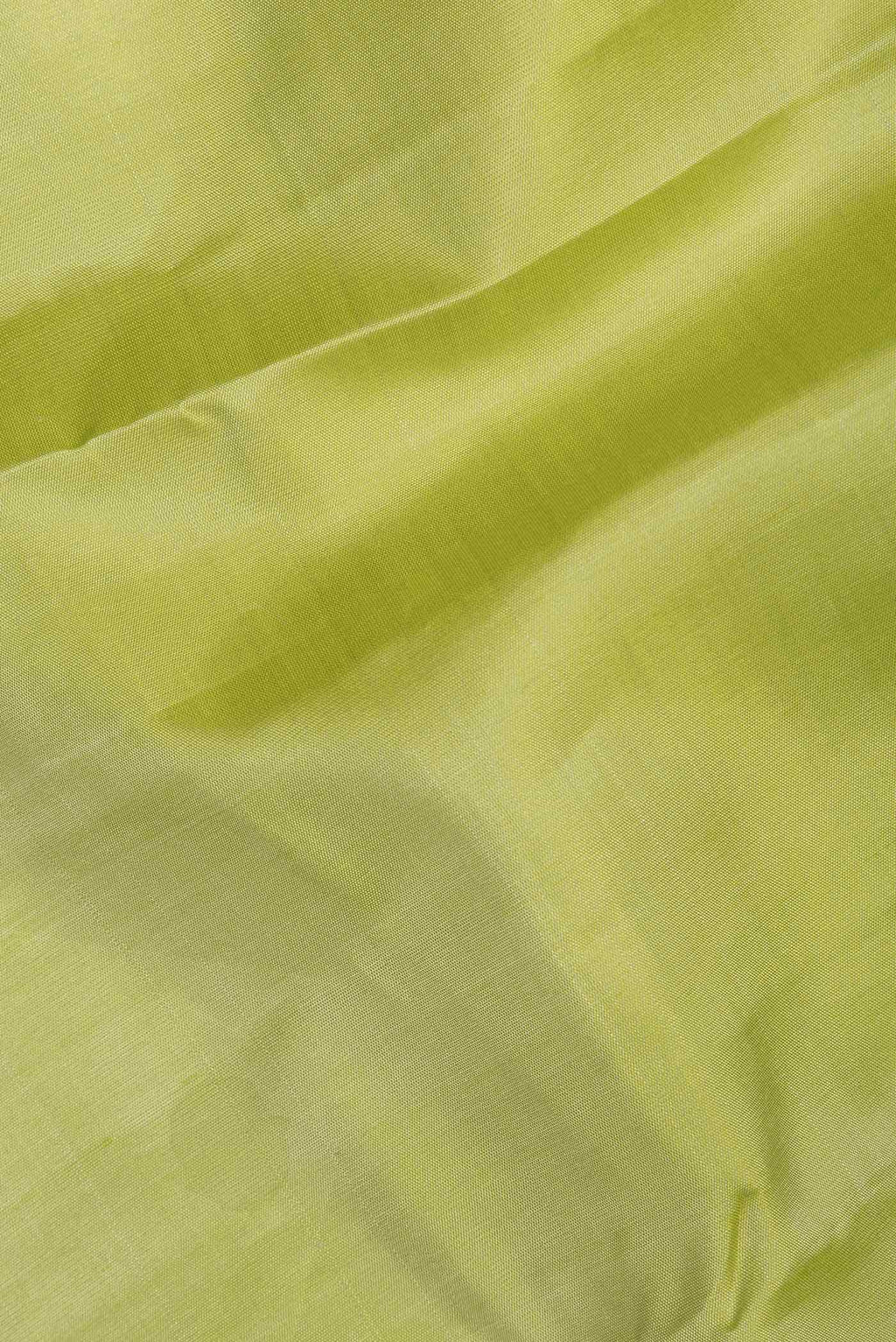 Pista Green Dual Tone Kanchipuram Silk Saree
