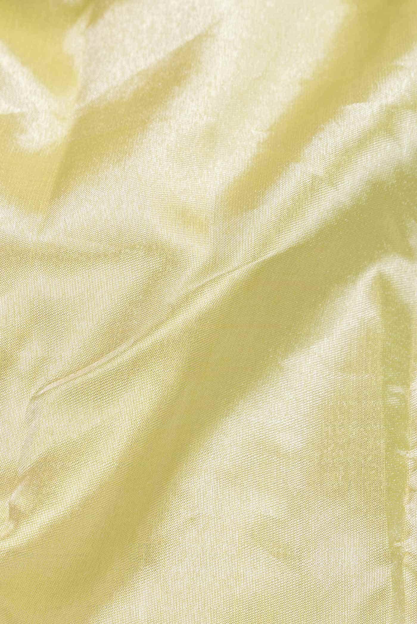 Green Dual Tone Kanchipuram Tissue Silk Saree