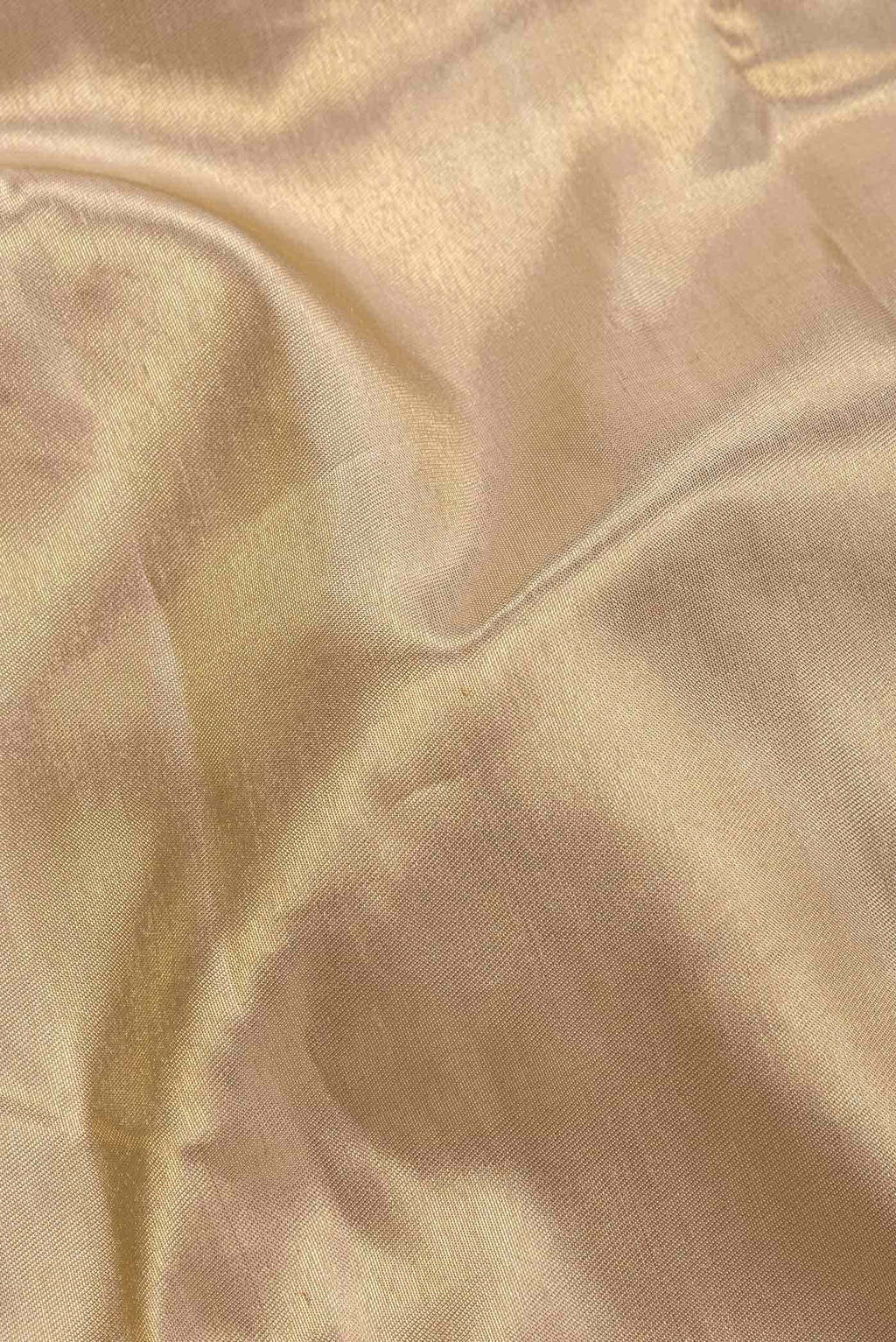 Beige Dual Tone Kanchipuram Tissue Silk Saree