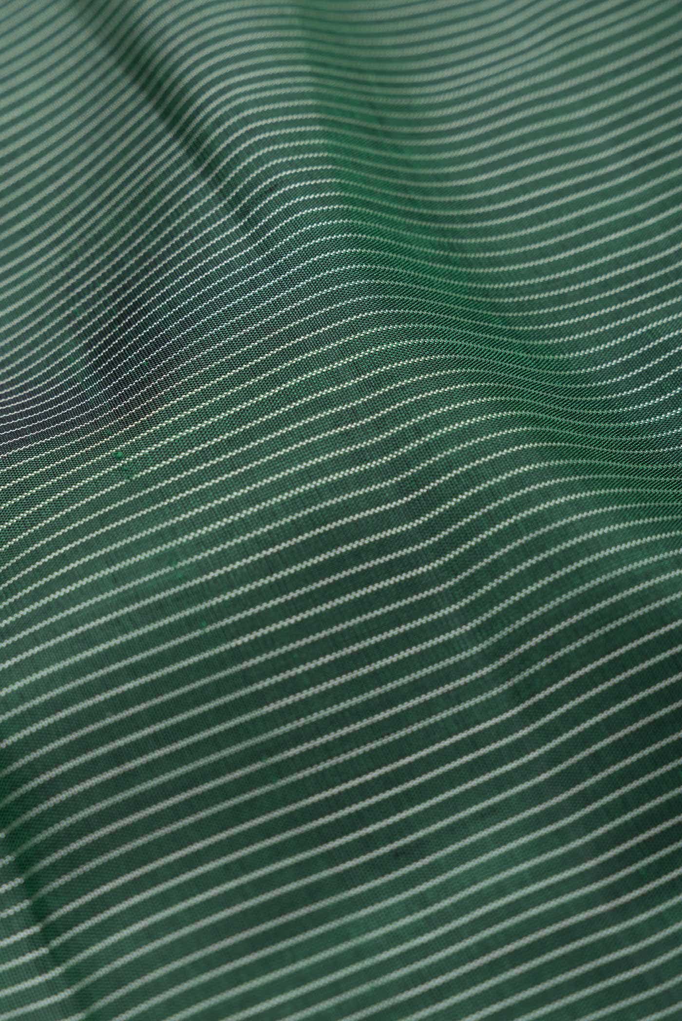Green Dual Tone Kanchipuram Silk Saree