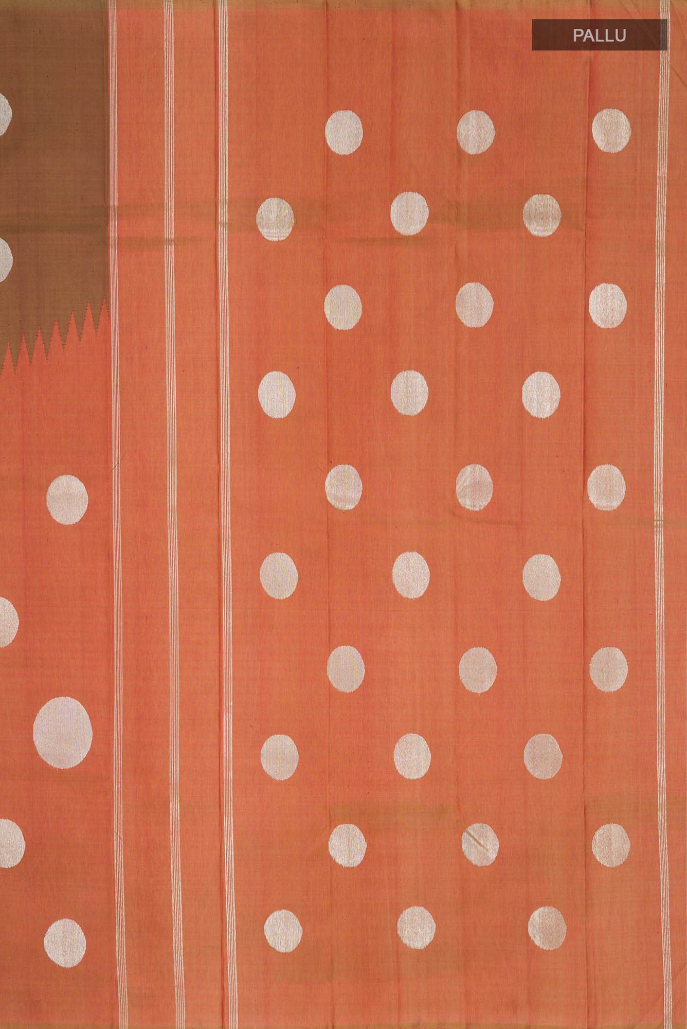 Pure Silk Pure Zari Multi Kanchipuram Saree
