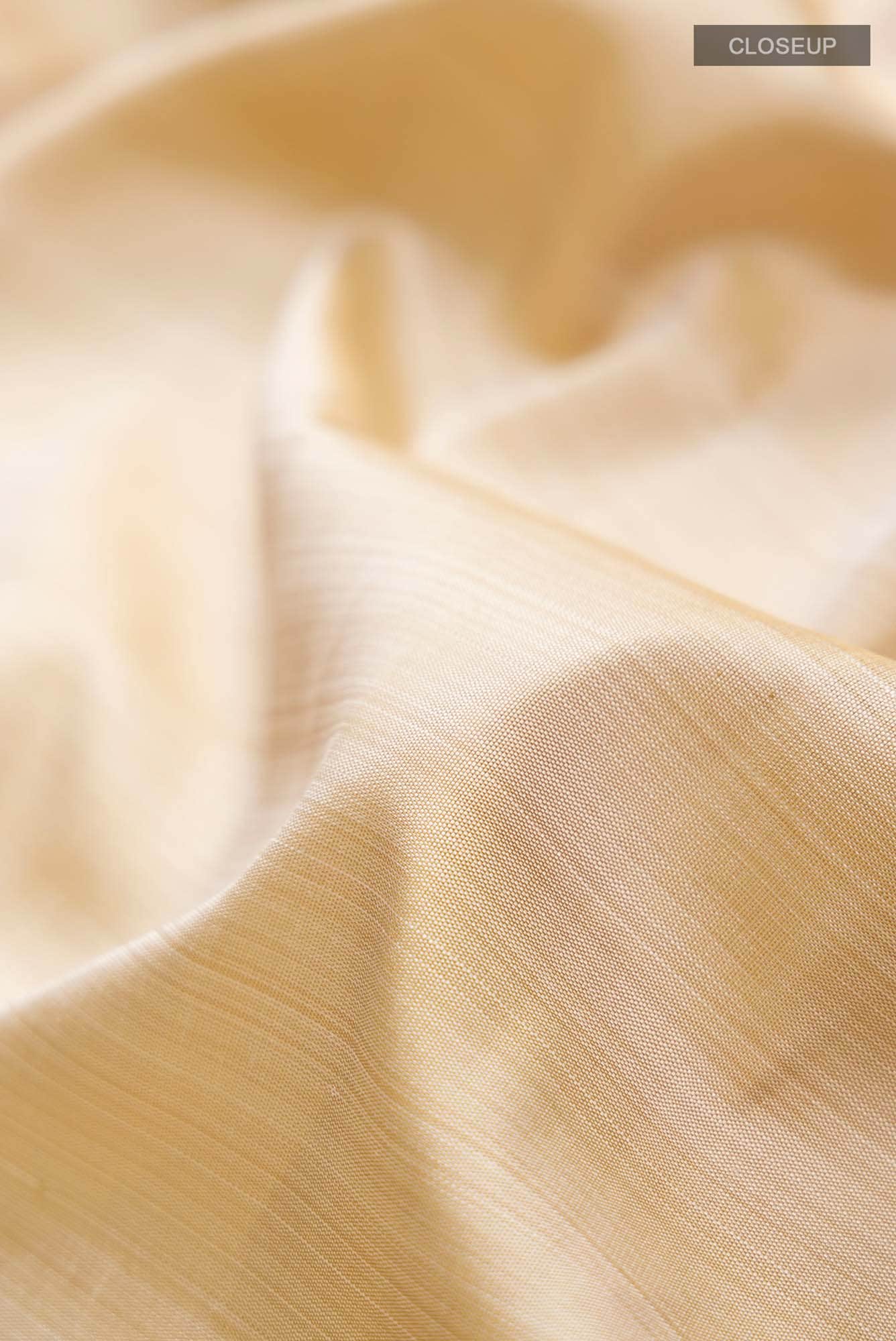 Beige Kanchipuram Silk Saree