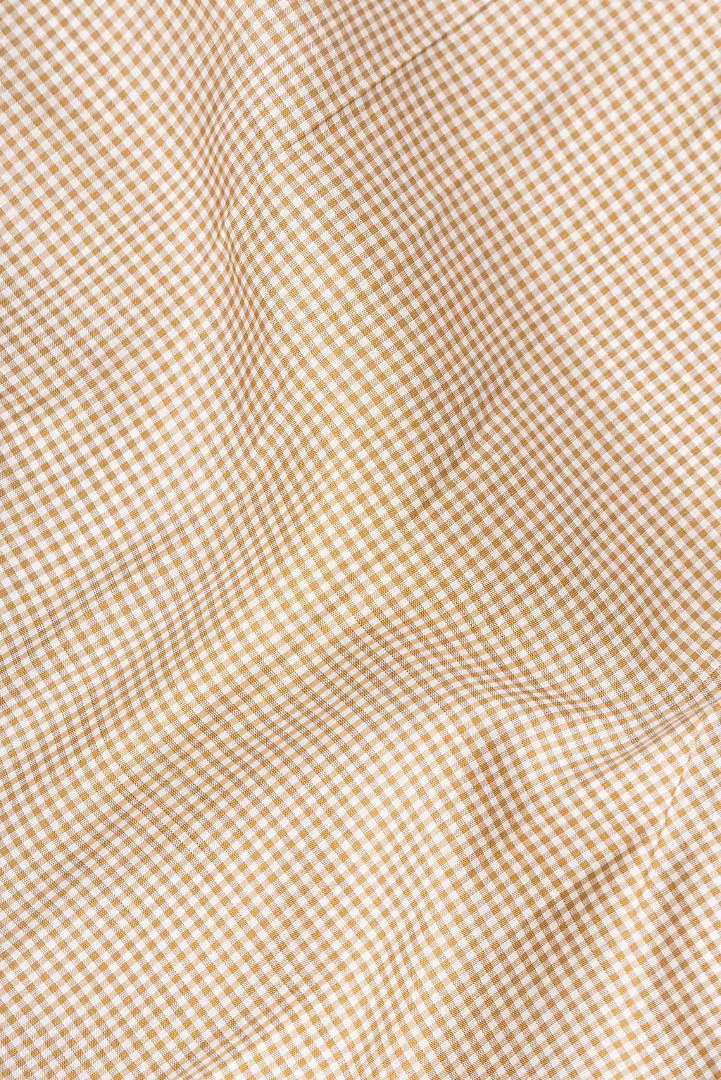 Beige Kanchipuram Silk Saree