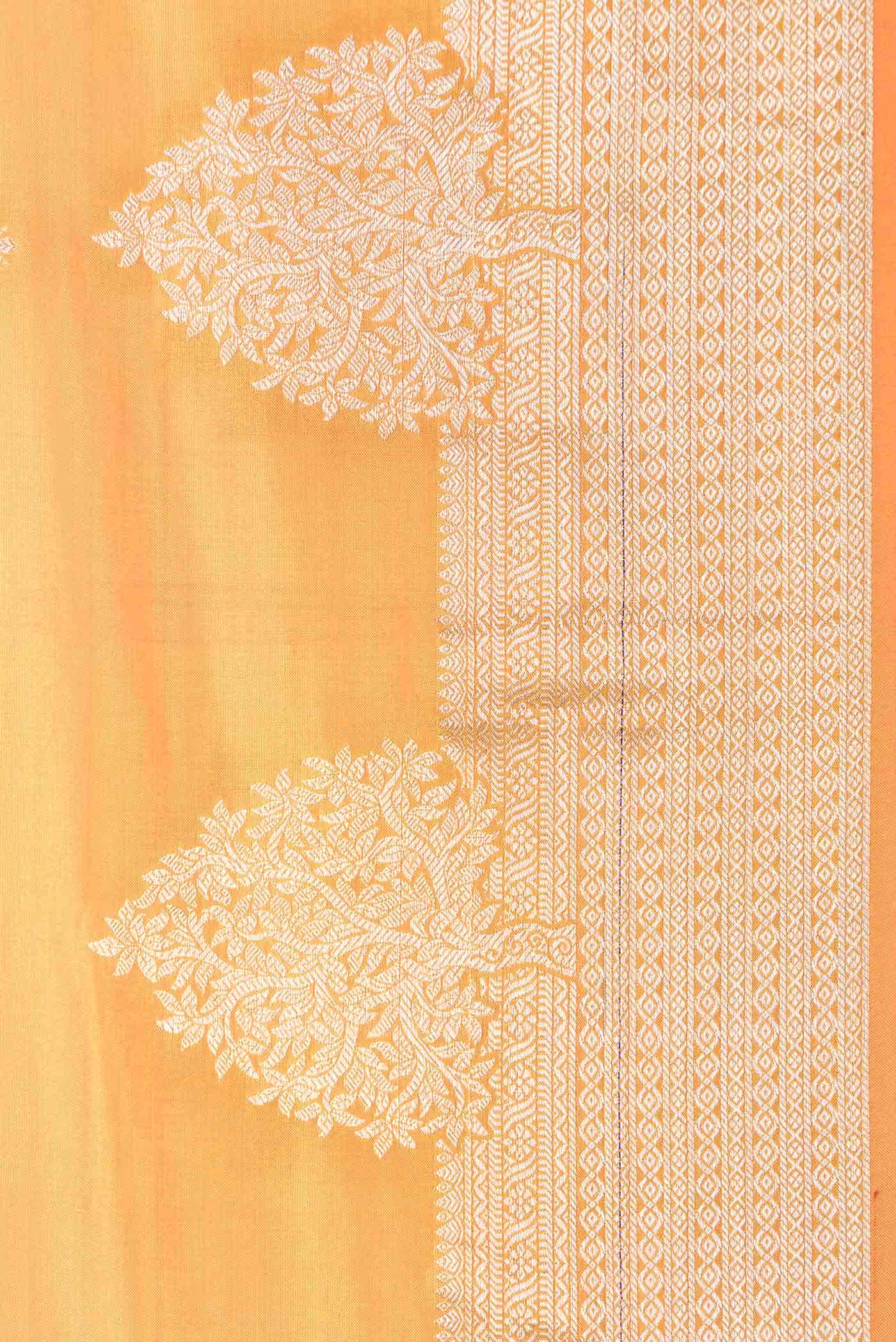 Orange Dual Tone Kanchipuram Silk Saree