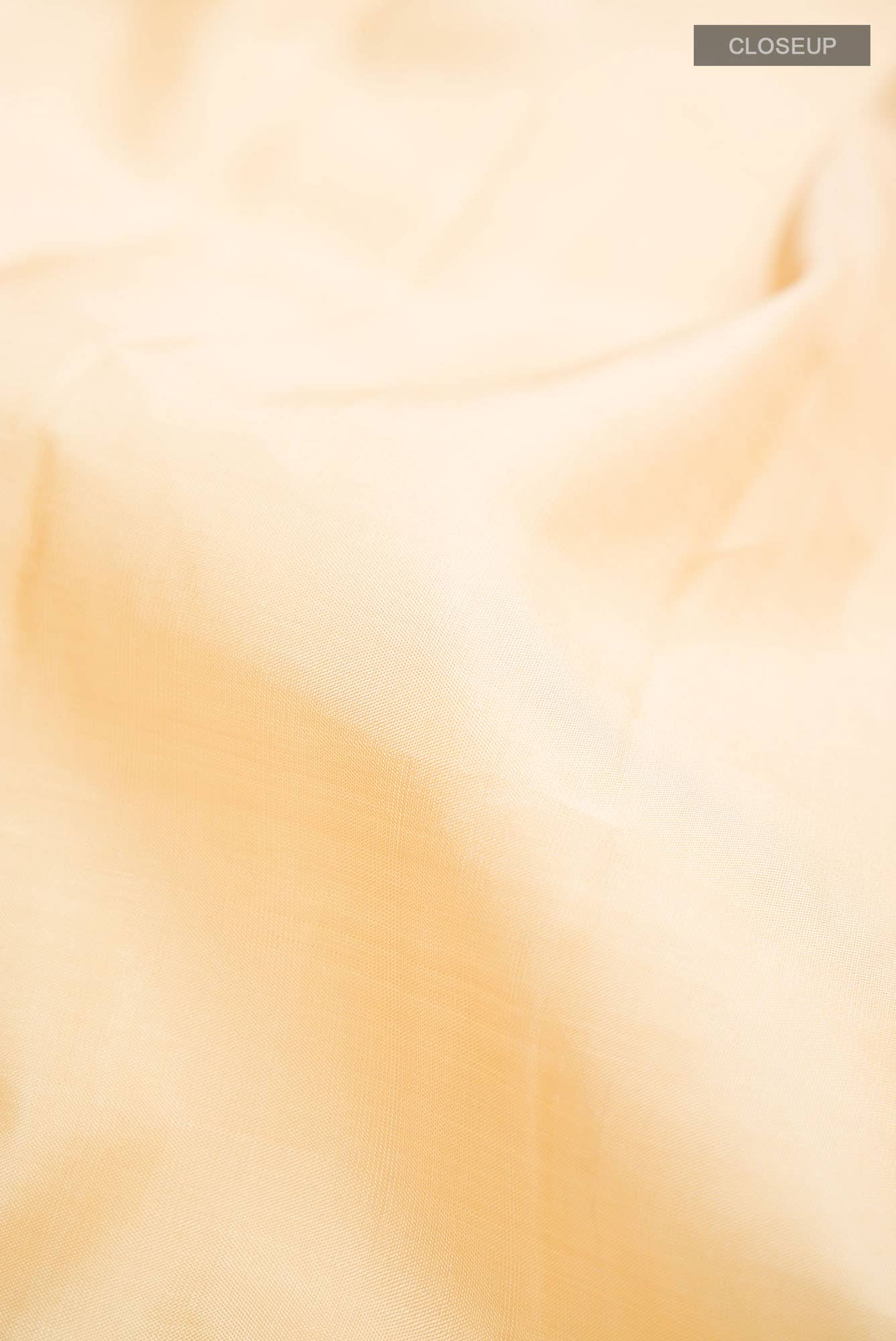Cream Kanchipuram Silk Saree