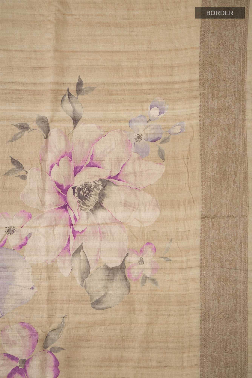 Beige Bhagalpuri Tussar Silk Saree