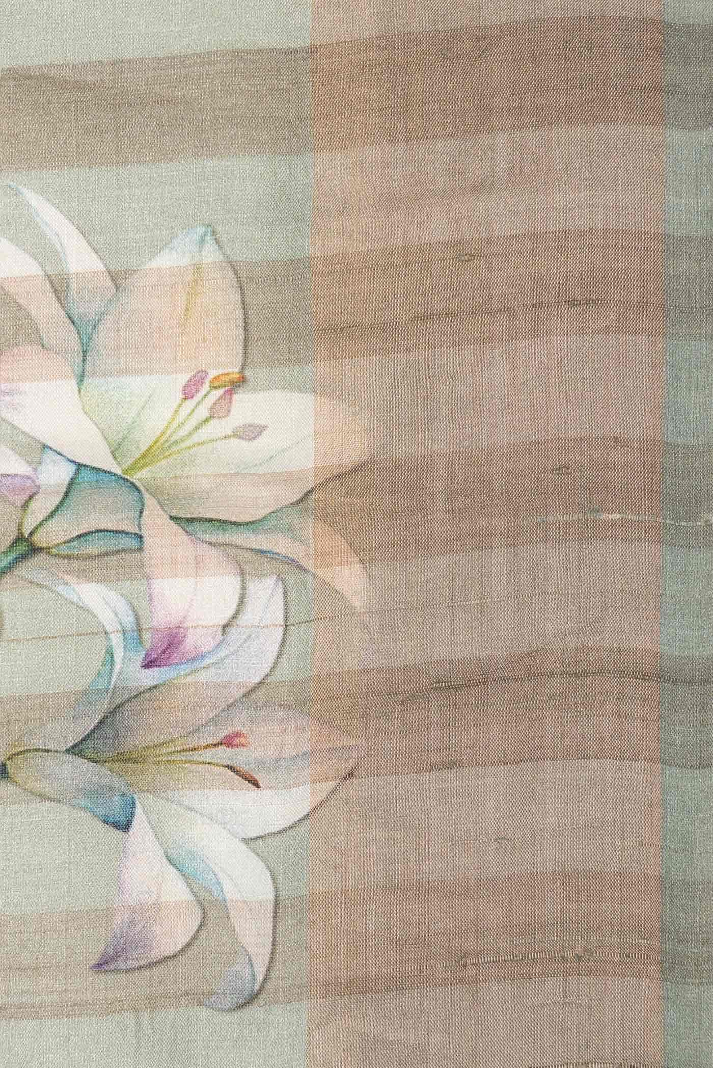 Davys Grey Tussar Silk Saree