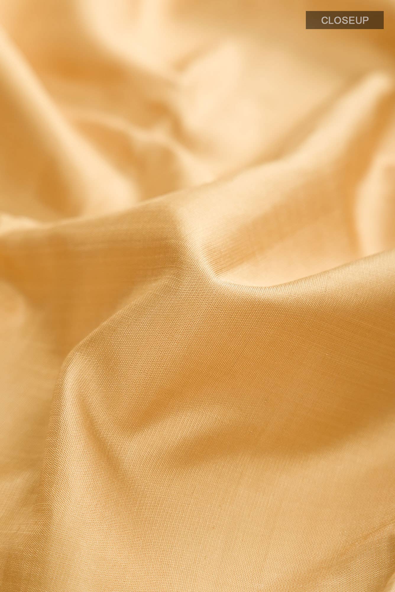 Beige Kanchipuram Silk Saree