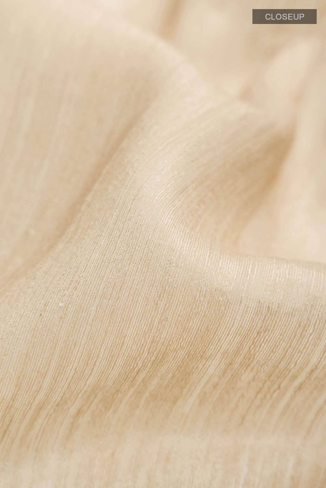 Beige Tussar Silk Saree