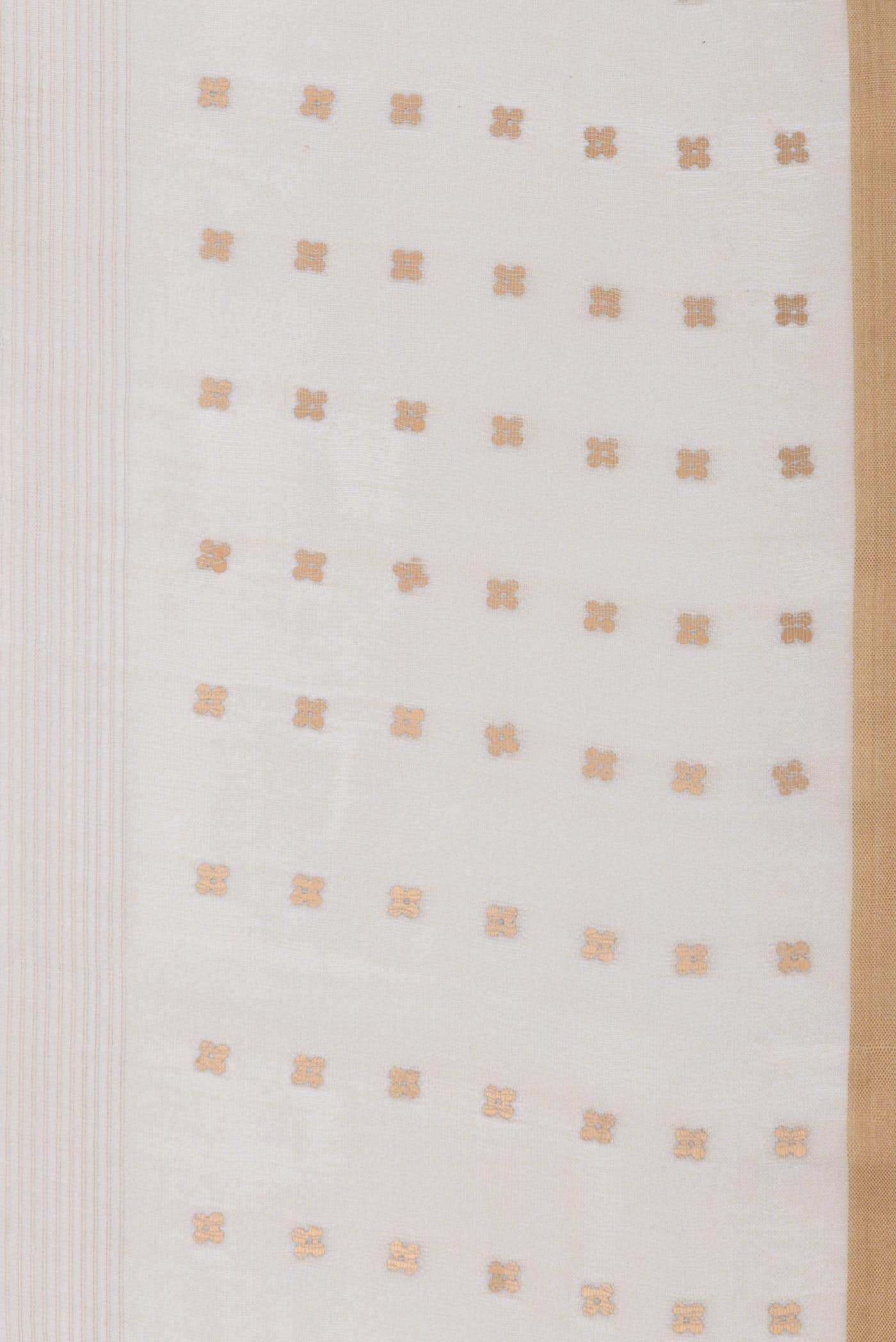 Beige Dual Tone Tussar Silk Saree