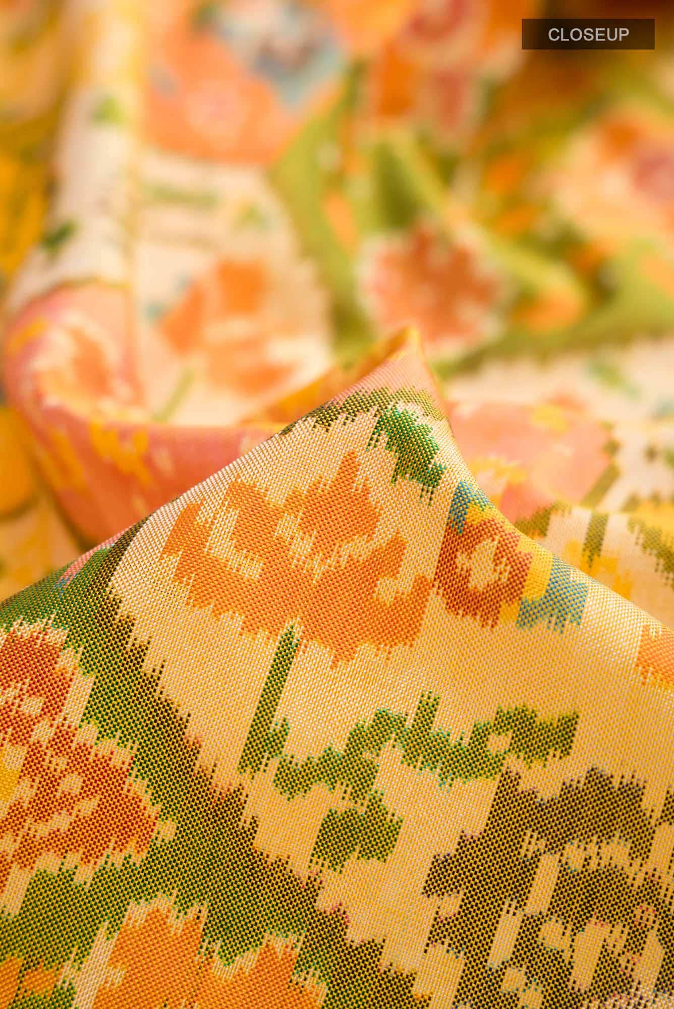Multi Rajkot Patola Silk Saree