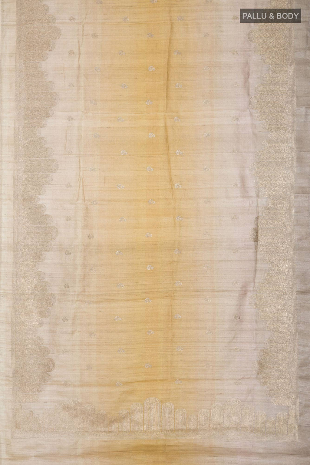 Multi Bhagalpuri Tussar Silk Saree