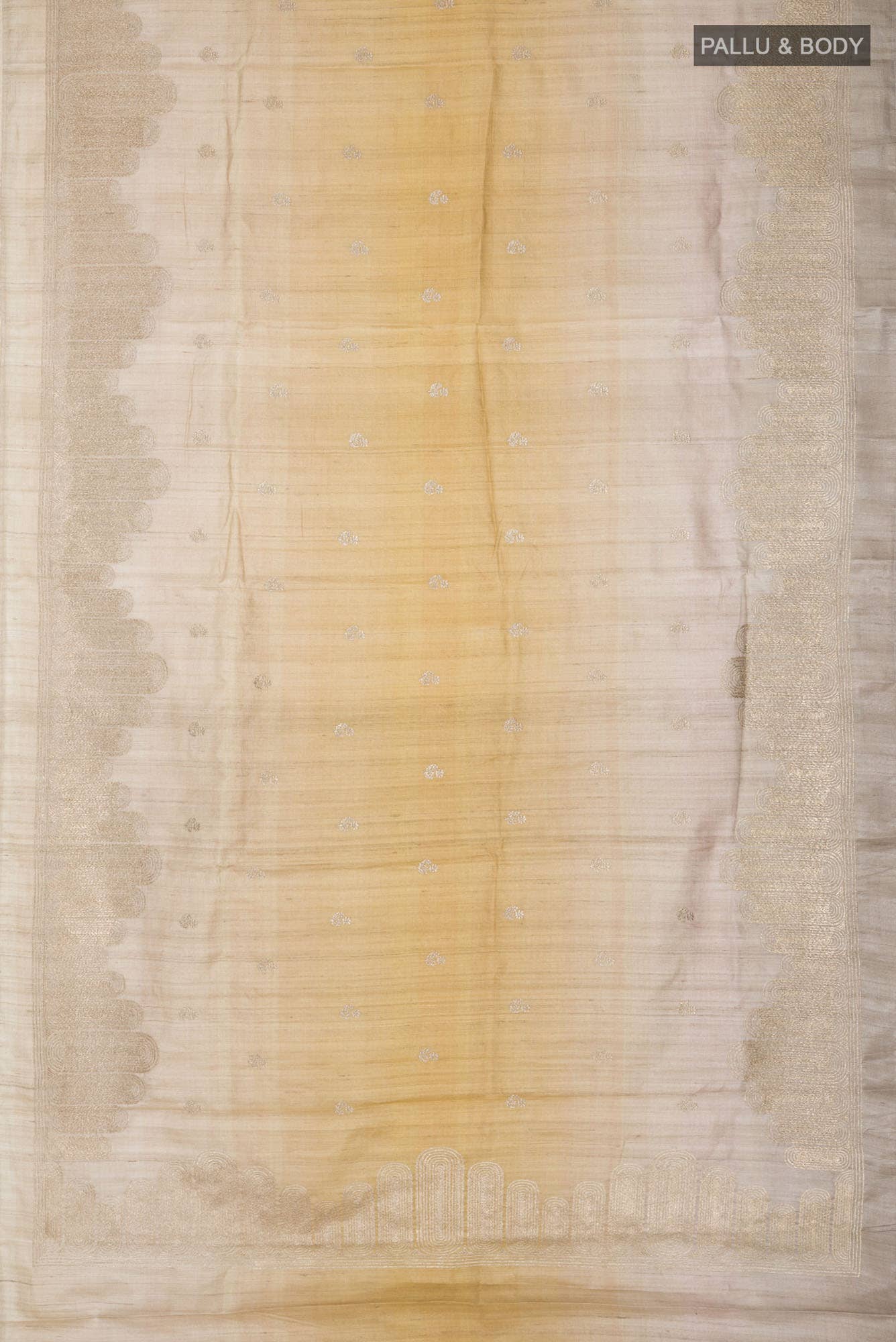 Multi Bhagalpuri Tussar Silk Saree