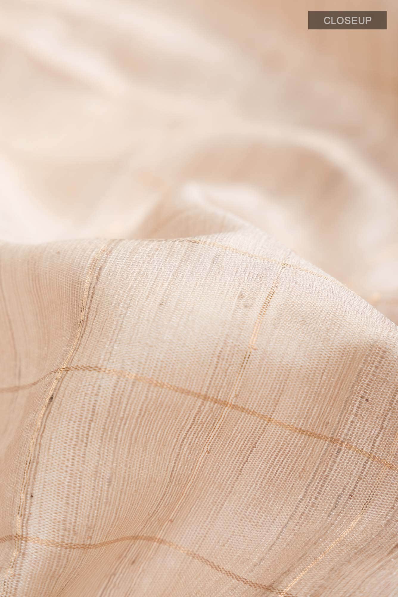Beige Bhagalpuri Tussar Silk Saree