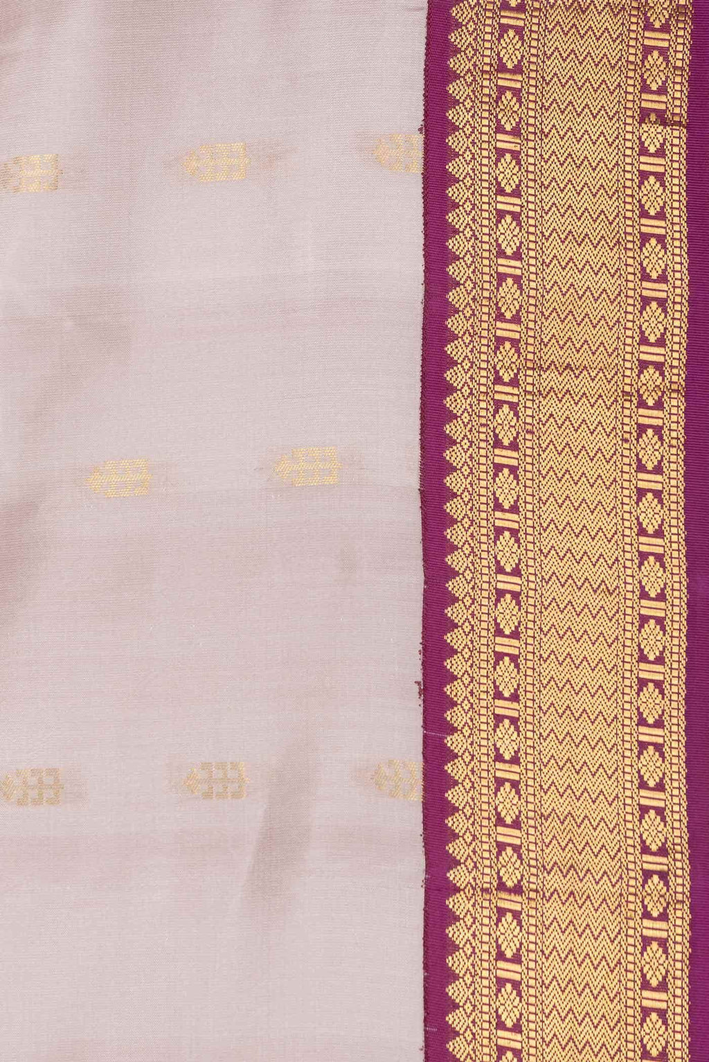 Dark Beige Kanchipuram Silk Saree