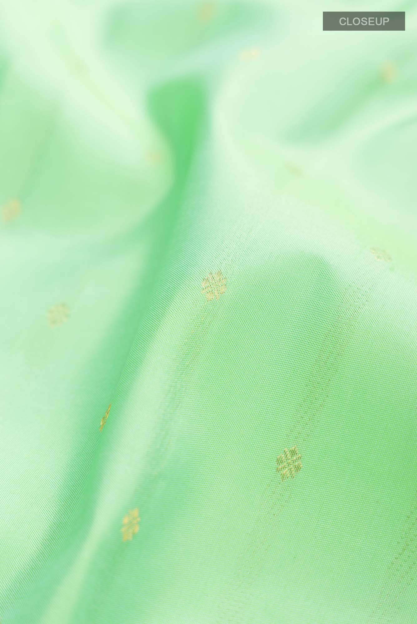 Green Kanchipuram Silk Saree