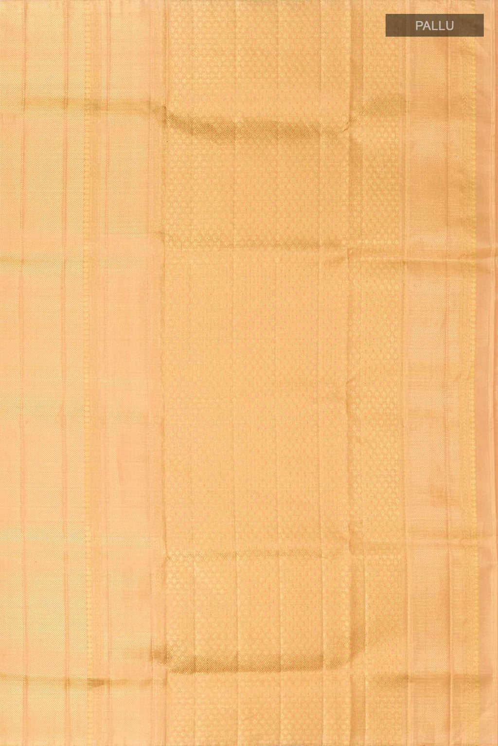 Orange Kanchipuram Tissue Silk Saree