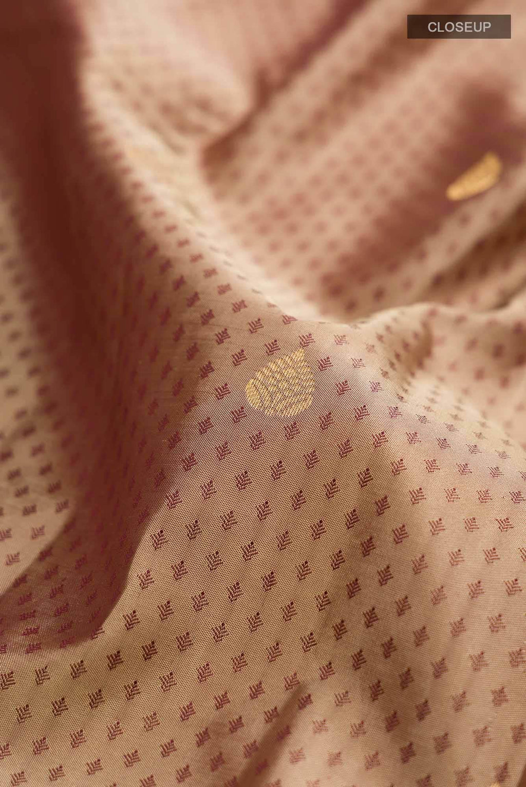 Beige with Brown Dual Tone Kanchipuram Silk Saree