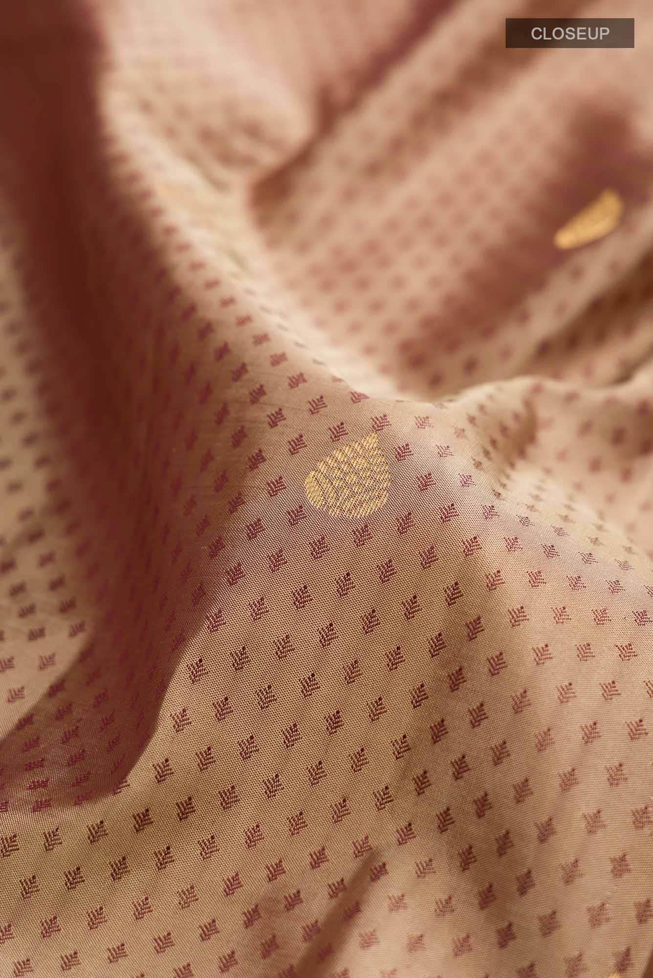 Beige with Brown Dual Tone Kanchipuram Silk Saree
