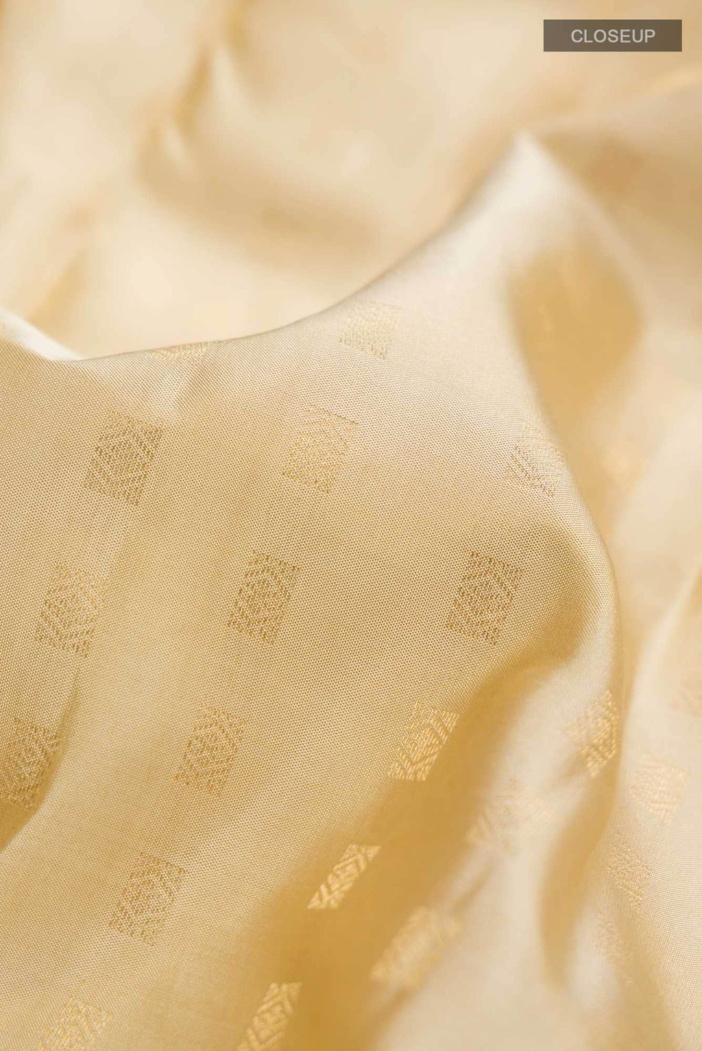 Beige Kanchipuram Silk Saree