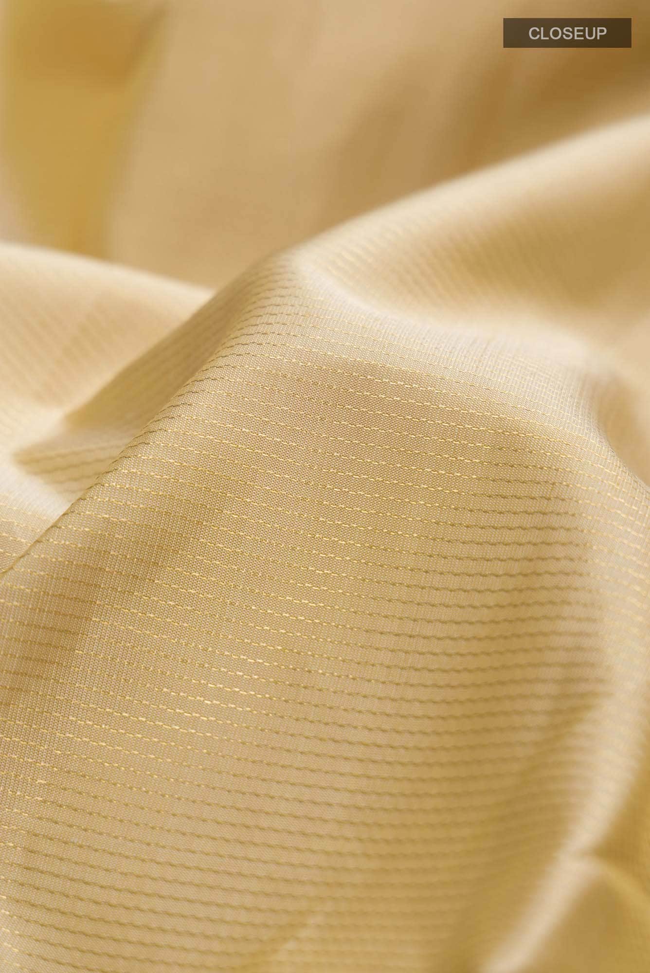 Beige Kanchipuram Silk Saree