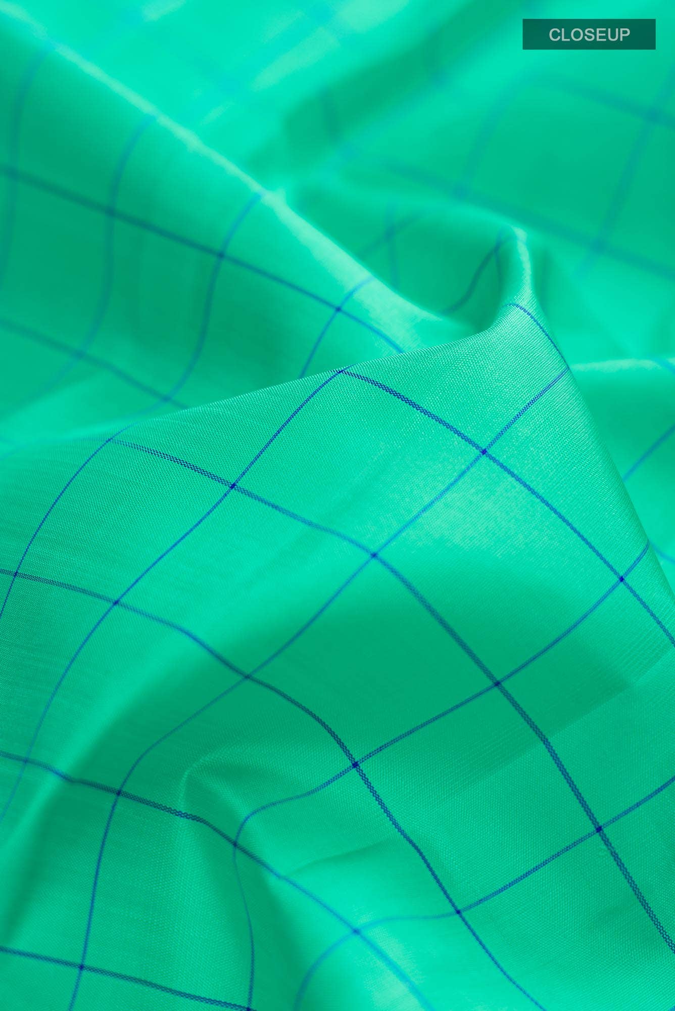 Sea Green Kanchipuram Silk Saree