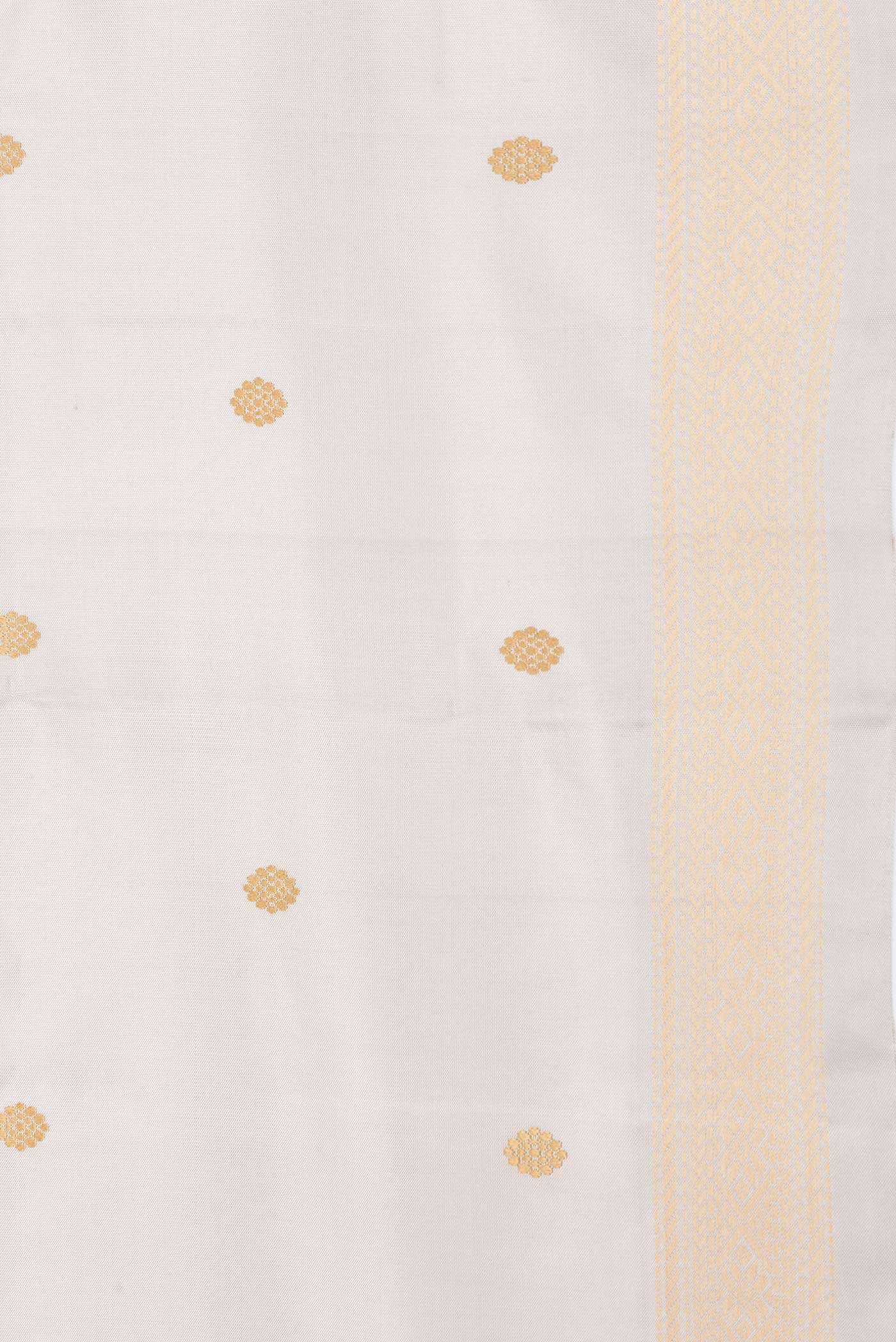 Grey Dual Tone Kanchipuram Silk Saree