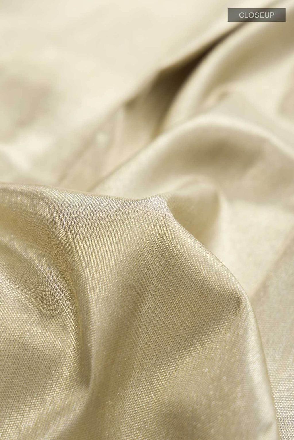 Beige with Gold Dual Tone Kanchipuram Tissue Silk Saree