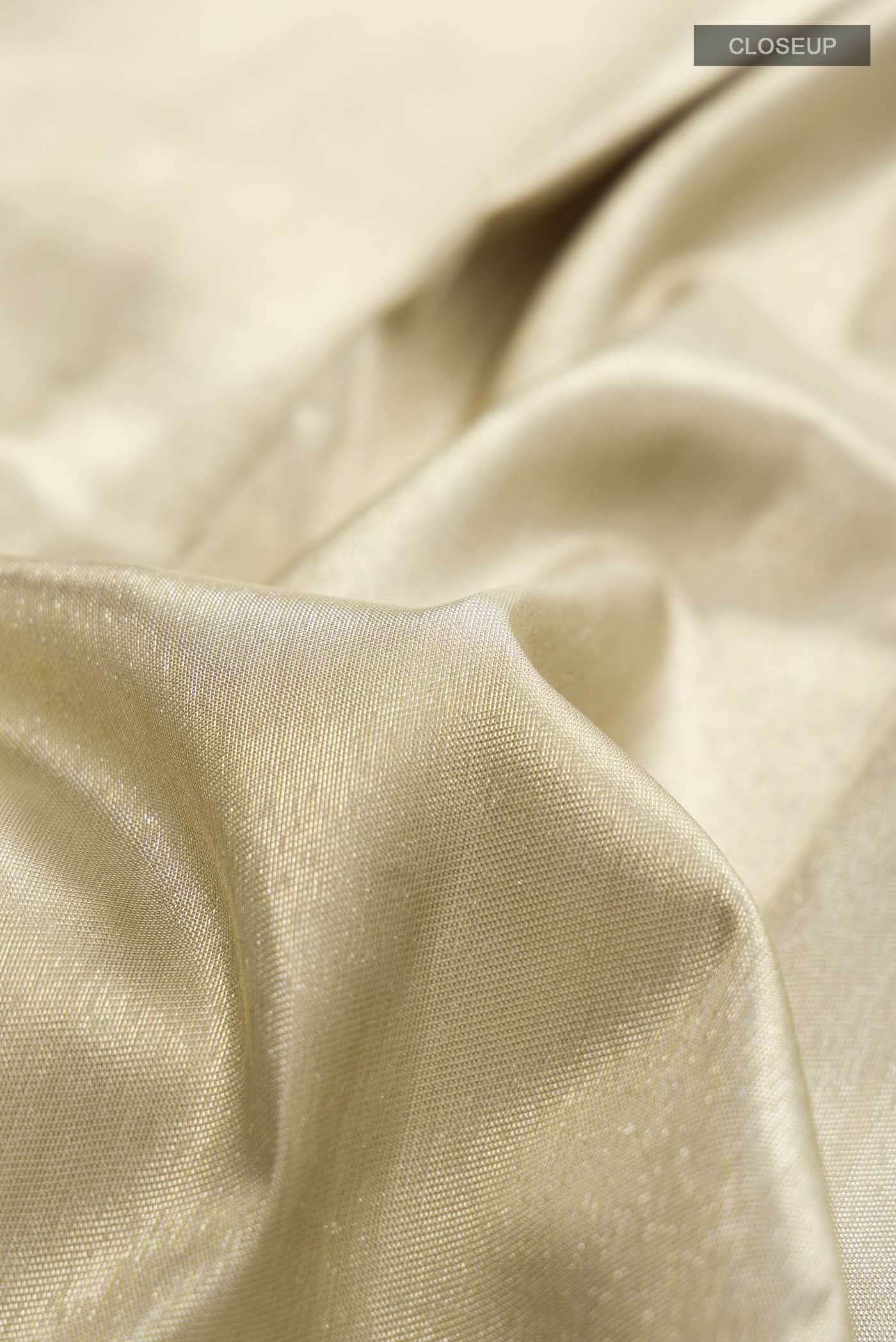 Beige with Gold Dual Tone Kanchipuram Tissue Silk Saree